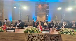 وفد من «التضامن» يشارك في أعمال الاجتماع العربي الإقليمي بتونس