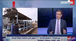 وزير الزراعة: طفرة بتوريد القمح.. ورفع سعر «الأردب» ساهم في الإقبال