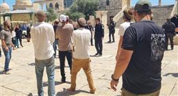 شرطة الاحتلال الإسرائيلي تفرض قيودا مشددة على دخول الفلسطينيين للمسجد الأقصى 
