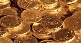 «الوزراء»: 270.5 مليار دولار إجمالي أصول صناديق الاستثمار المتداولة في الذهب عالميًا 