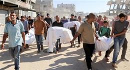   دراسة دولية: جرائم إسرائيل ضد الفلسطينيين «قسوة منظمة»