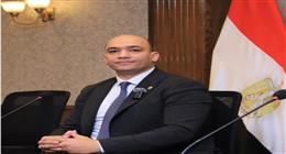 استشاري استراتيجيات الطاقة المتجددة: خطط الدولة لتحقيق عائد بيئي واقتصادي