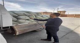 محافظ المنيا: توريد 515 ألف طن قمح إلى الصوامع والشون منذ بدء الموسم 