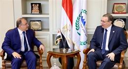 «التنظيم والإدارة» يبحث مع «الدواء المصرية» تطوير الهيكل التنظيمي للهيئة