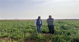 «اسأل واستشير».. خبراء بحوث الصحراء يواصلون جولاتهم لدعم مزارعي سيناء