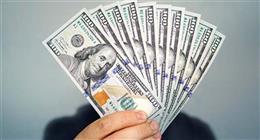سعر الدولار مقابل الجنيه في البنوك اليوم الأحد 20-7-2025