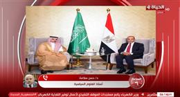 أستاذ علوم سياسية: مستقبل مصر والسعودية ومصيرهم واحد و«التاريخ يشهد»
