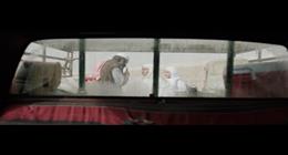 شركة «فيلم كلينك» للإنتاج تشارك لأول مرة بـ3 أفلام  في مهرجان فينيسيا بدورته الـ82