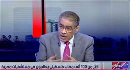 ضياء رشوان: الوضع على الجانب الشرقي من معبر رفح كارثي بسبب القصف الإسرائيلي