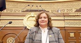 عضو بـ«الشيوخ»: جماعة الإخوان تحاول العودة إلى المشهد باستغلال القضية الفلسطينية