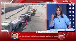 كاتب صحفي: تشويه دور مصر في غزة محاولة مكشوفة للهروب من إدانة الاحتلال