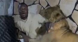 فيديو صادم.. صاحب مزرعة يطلق أسدا على العمال في ليبيا