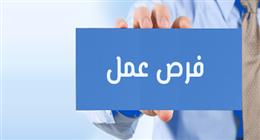 فرص عمل جديدة في البوسنة والهرسك ومقدونيا الشمالية.. المزايا وقيمة الراتب
