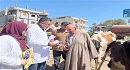 مربي مواشي بكفر الشيخ: القوافل البيطرية حفظت كرامتنا ومصدر رزقنا