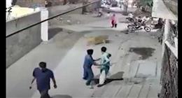 أسد هارب يهاجم سيدة باكستانية.. لحظات من الرعب (فيديو)