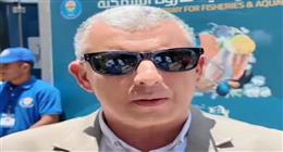 محافظ الإسماعيلية: ضخ 10 أصناف سمك ضمن مبادرة تخفيض الأسعار