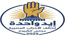 تحالف الأحزاب المصرية يقدم أوراق 7 مرشحين لانتخابات الشيوخ في الإسكندرية