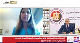 سفراء مصر في جنوب السودان وقبرص ورومانيا وصربيا: إقبال على التصويت بانتخابات «الشيوخ»