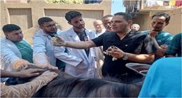 «الزراعة» تطلق 310 قوافل بيطرية مجانية تخدم 299 قرية خلال يوليو الماضي