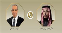  وزير الخارجية ونظيره السعودي يؤكدان رفضهما لقرار إسرائيل باحتلال غزة