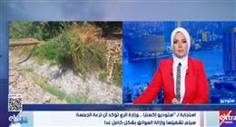 استجابة لـ «ستوديو إكسترا».. «الري»: تشغيل ترعة الجمسة وإزالة العوائق غدا