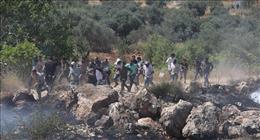 مستوطنون يجبرون الفلسطنيين على ترك منازلهم بالضفة الغربية تحت حماية جنود الاحتلال