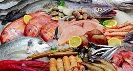 أسعار الأسماك في سوق العبور اليوم الاثنين 25-8-2025