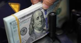 خبير: قوة الاقتصاد المصري من أبرز أسباب تراجع سعر صرف الدولار أمام الجنيه
