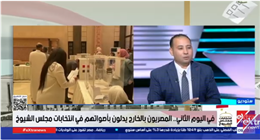 كاتب صحفي: المصريون بالخارج يقدمون نموذجا وطنيا في انتخابات مجلس الشيوخ