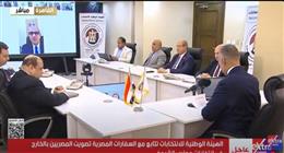 سفارتا مصر بنيجيريا وإسبانيا: انتخابات «الشيوخ» تسير بسلاسة استعدادًا لبدء الفرز