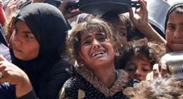 صحة غزة: ارتفاع عدد شهداء التجويع في القطاع إلى 281 شخصا بينهم 114 طفلا