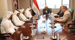 وزير الكهرباء يبحث مع شركة إماراتية دعم مشروعات الطاقة المتجددة