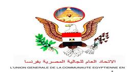 الجالية المصرية في فرنسا تسجل دعمها لمبادرة «وطنك أمانة»