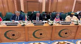 وزير الخارجية في جدة: مصر ترفض تهجير الفلسطينيين وتدعو لوقف الحرب