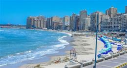 4 معلومات عن ظاهرة «ملتم أغسطس» بعد تسببها في إغلاق شواطئ الإسكندرية