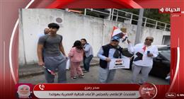 «الأعلى للجالية المصرية بهولندا»: الدفاع عن السفارات المصرية واجب وطني