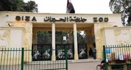 حديقة حيوان الجيزة تستورد نحو 360 حيوانا جديدا
