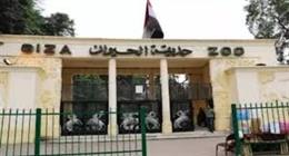  موعد افتتاح حديقة الحيوان بالجيزة.. تفاصيل جديدة