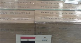 مصر تسلم شحنة مُستلزمات طبية إلى دولة إريتريا