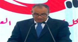 وزير الخارجية يدعو إلى إنشاء كيان موحد يمثل المصريين في الخارج