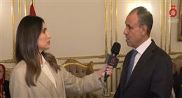 وزير الخارجية: الدولة تضع مصالح المصريين بالخارج على رأس أولوياتها