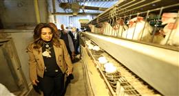 «التنمية المحلية» تناشد المواطنين الإبلاغ عن مخالفات البناء