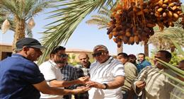 محافظ الوادي الجديد يتفقد مشروعات لإنتاج التمور على مساحة 6900 فدانًا في الفرافرة