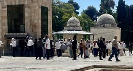 القدس: 8617 مستوطنا اقتحموا الأقصى و2495 دخلوا بغطاء «السياحة» في شهر أغسطس