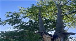 بسبب الطقس السيء والعاصفة.. وفاة بريطانية في حادث مأساوي