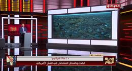 باحث في الشؤون الأمريكية: الجهود الإنسانية المصرية عامل ضغط في حسابات واشنطن