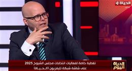 «الكشكي»: فكرة مجلس الشيوخ تقوم على ضم خبراء وعلماء ومثقفين لتقديم استشارات لـ«النواب»