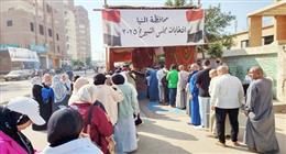انتخابات الشيوخ في الصعيد.. هتاف «تحيا مصر» يتصدر المشهد
