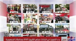 بدء التصويت على انتخابات «الشيوخ» في محافظات الجمهورية وسط إقبال المواطنين