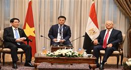 الجبالي يبحث مع الرئيس الفيتنامي تعزيز العلاقات التجارية والاقتصادية